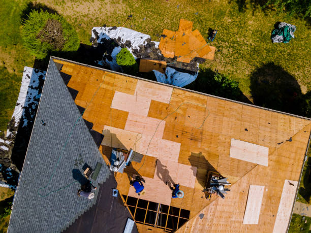Best Roof Leak Repair  in Marmet, WV
