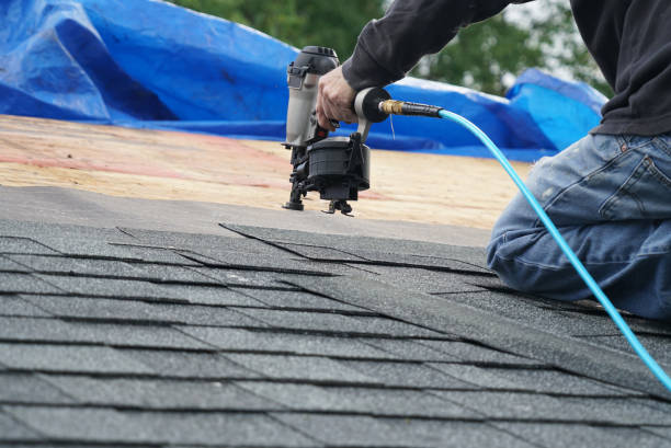 Best New Roof Installation  in Marmet, WV