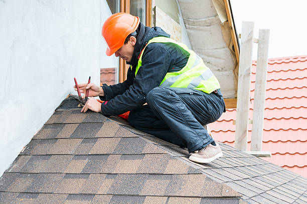 Best Roof Repair Services  in Marmet, WV